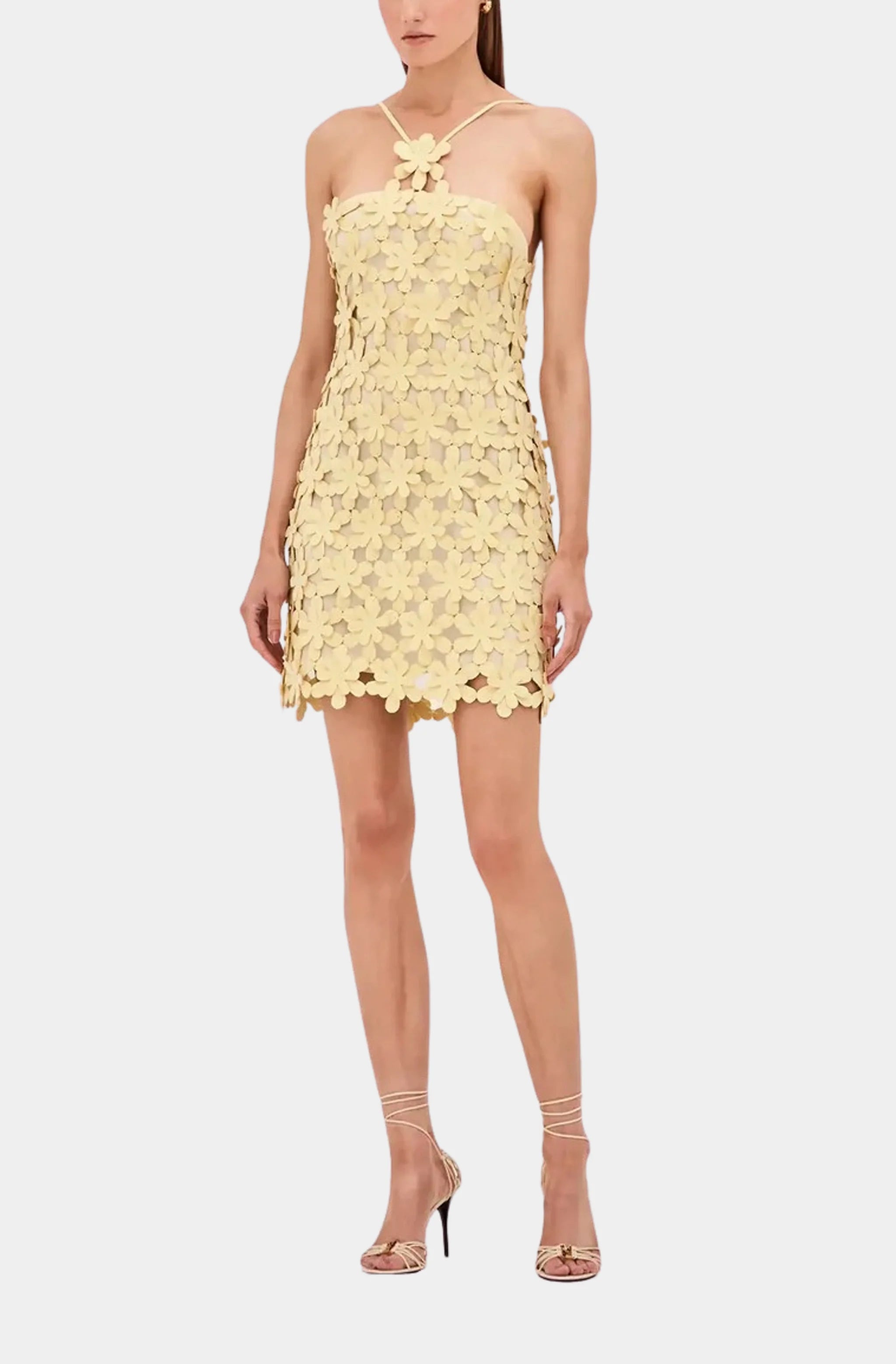 Lily Dress Hemline Winter Park Lily Dress Hemline Winter Park