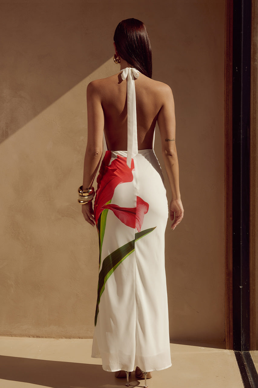 Jasmina Maxi Dress