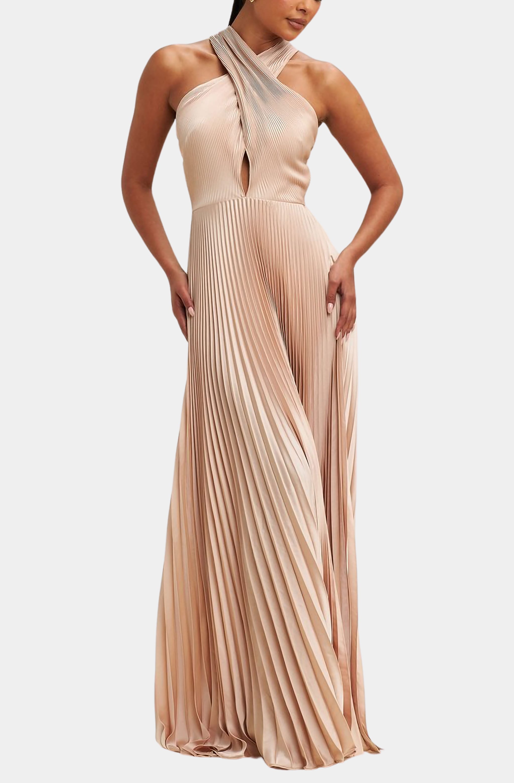Courtney Pleated Maxi Dress Courtney Pleated Maxi Dress