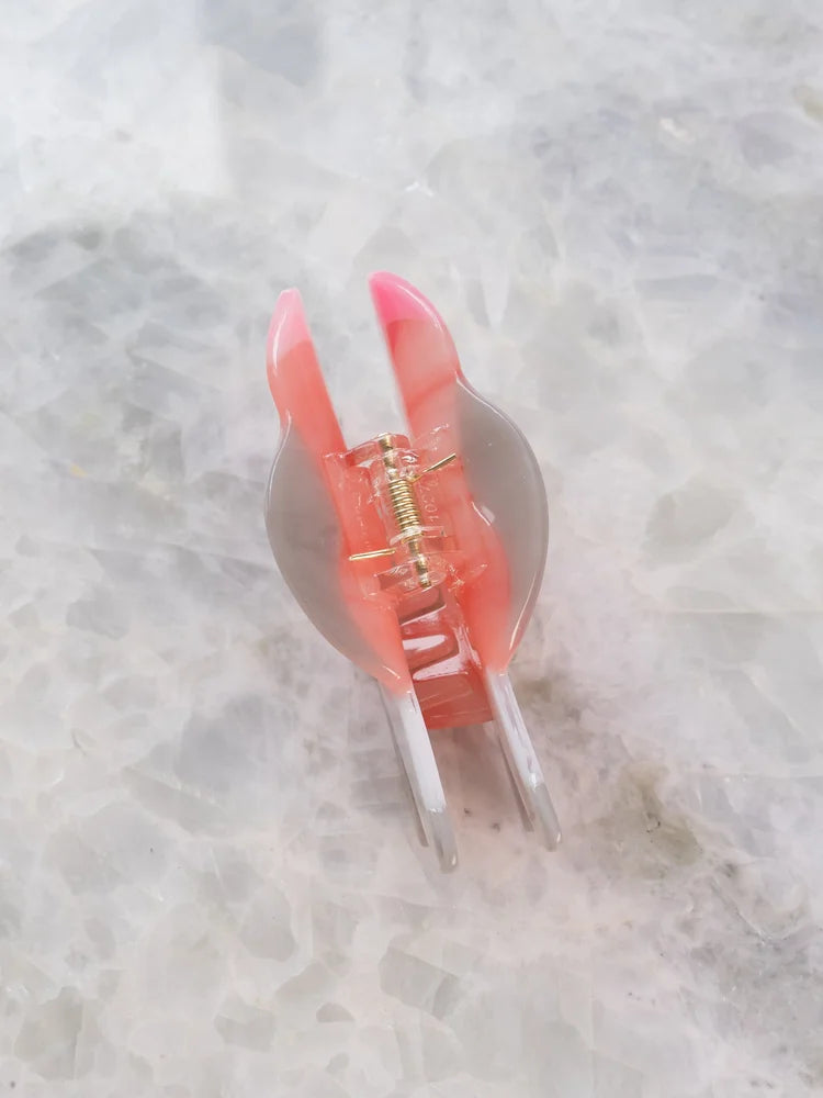 Pink Parrot Hair Clip Claw