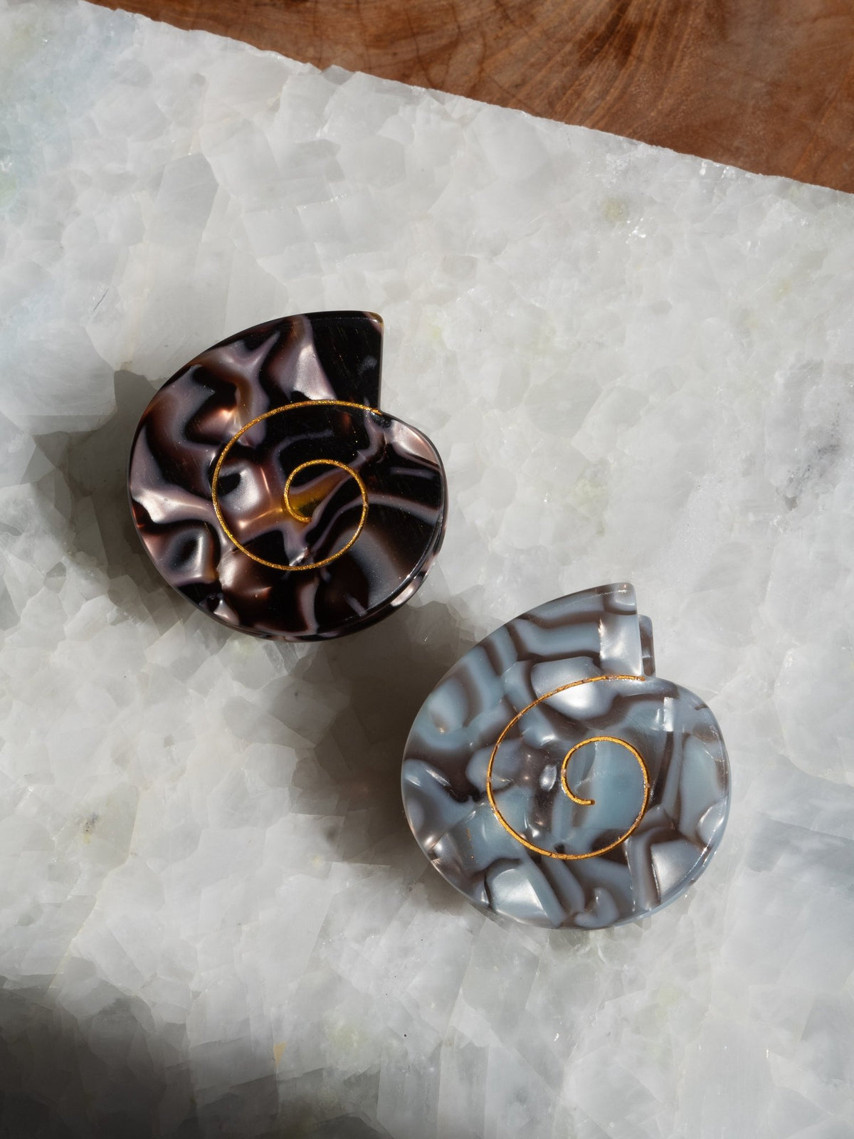 Spiral Sea Shell Hair Clip Claw