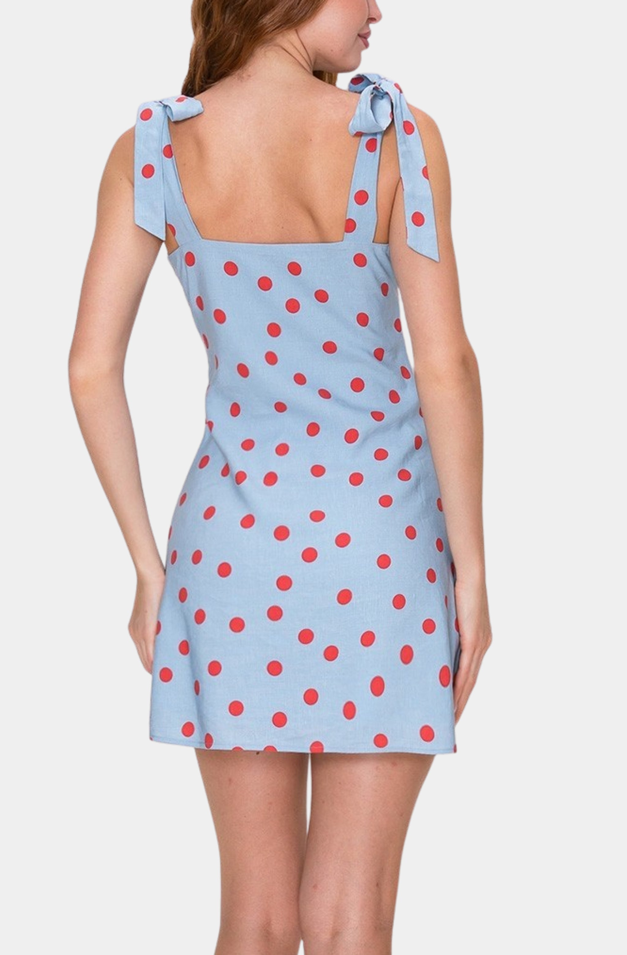 Amelisse Dress
